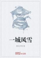 一城风雪是什么歌