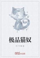 猫学派极品图纸