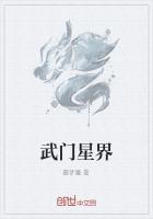 星门武师等级