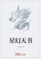 长安幻天兵打书