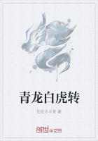 还是青龙转案好