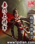 妻乃上将军abc