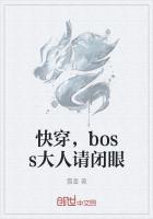 兄长大人是boss快穿