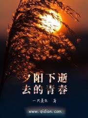 夕阳 逝去的青春