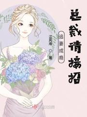 总裁追妻有妙招免费