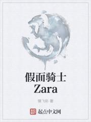 假面骑士Zayin