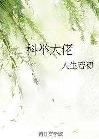 科举大佬作者人生若初