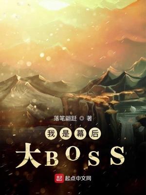 港片我是幕后大Boss