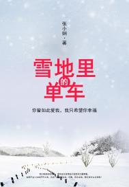 雪地里的单车梗概