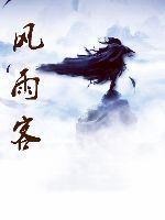 风雨客对仗什么