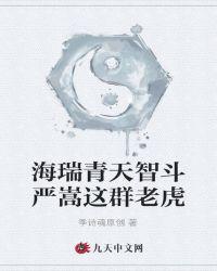 海瑞青天智斗严嵩这群老虎