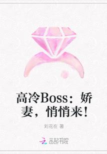 高冷Boss：娇妻，悄悄来！