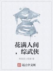 花满人间，综武侠