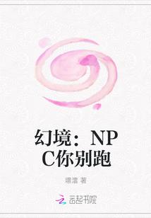 幻境：NPC你别跑