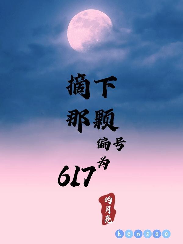 摘下那颗编号为617的月亮