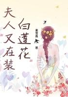 夫人又在装白莲花