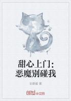 甜心上门：恶魔别碰我