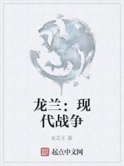 龙兰：现代战争