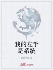 我的左手是系统